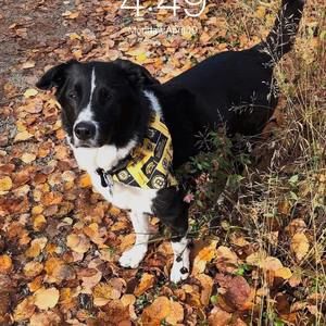 Meet your Posher, Lynne